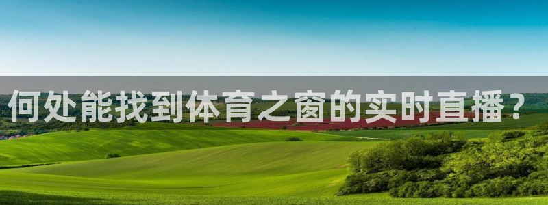 何处能找到体育之窗的实时直播？