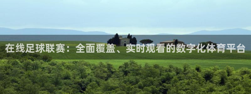 在线足球联赛：全面覆盖、实时观看的数字化体育平台