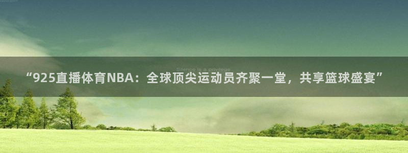“925直播体育NBA：全球顶尖运动员齐聚一堂，共享篮球盛宴”