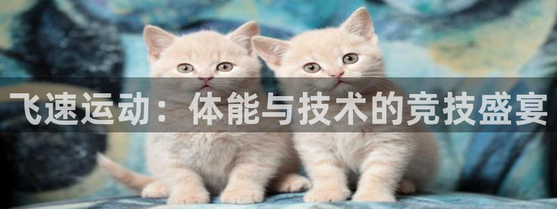 飞速运动：体能与技术的竞技盛宴