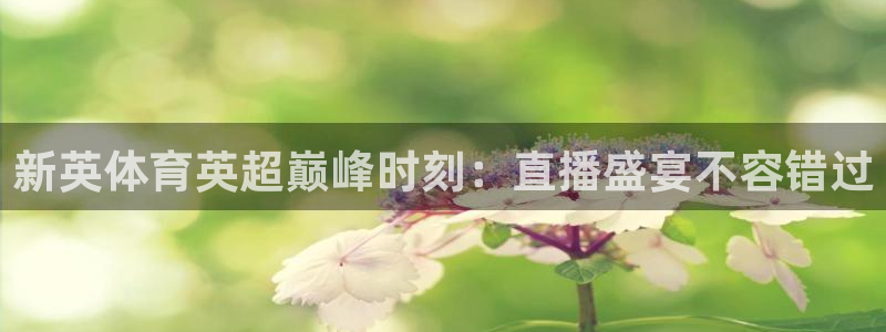 新英体育英超巅峰时刻：直播盛宴不容错过